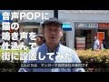 音声POPに猫の鳴き声を入れて街に設置してみた