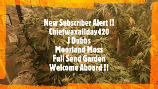 Factors influencing nutrient availability with Dutchman420