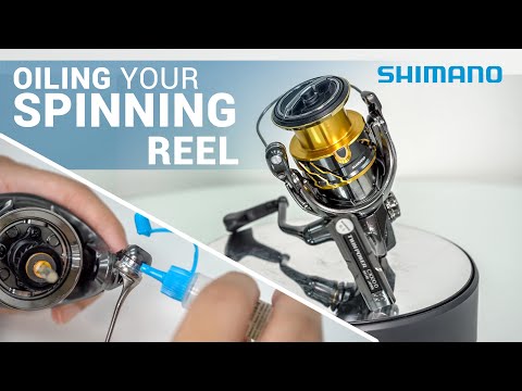 How to Oil your Spinning Reel 