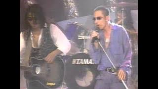 Wings Dan Amy - Serati Tidak Bisa Jadi Undan (1994) LIVE