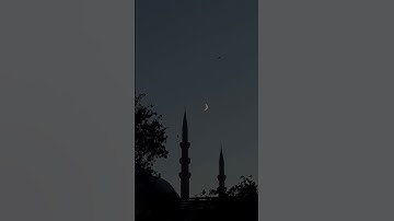 مؤيد المزين ـ "الأخلّاء يومئذ بعضهم لبعض عدو" ـ سورة الزخرف آيات ٦٧-٧٠ Surat Az-Zukhruf ayat 67-70 🖤