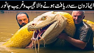 10 Terrifying Creatures Found From Amazon Forest In Urdu Hindi