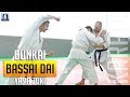 Bunkai bassai dai  yama zuki  karate