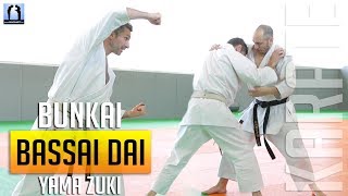 Bassai Dai Bunkai - Yama Zuki - KARATE