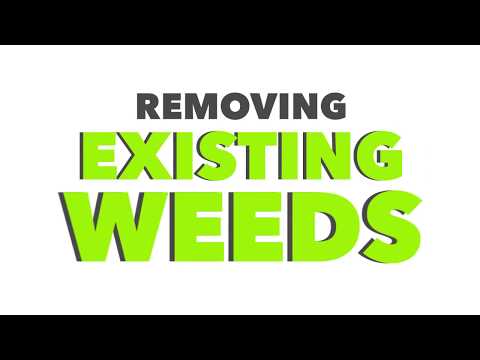 How to remove weeds from your Paving stone joints