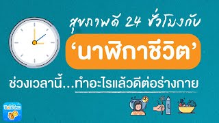 รู้จัก ‘นาฬิกาชีวิต’ กับกิจกรรมที่เหมาะสมในแต่ละช่วงเวลา