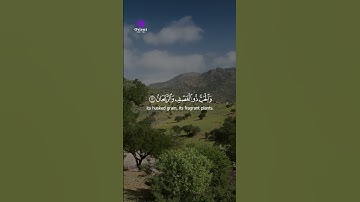 جمال القرآن في تلاوة تهز القلوب ❤️