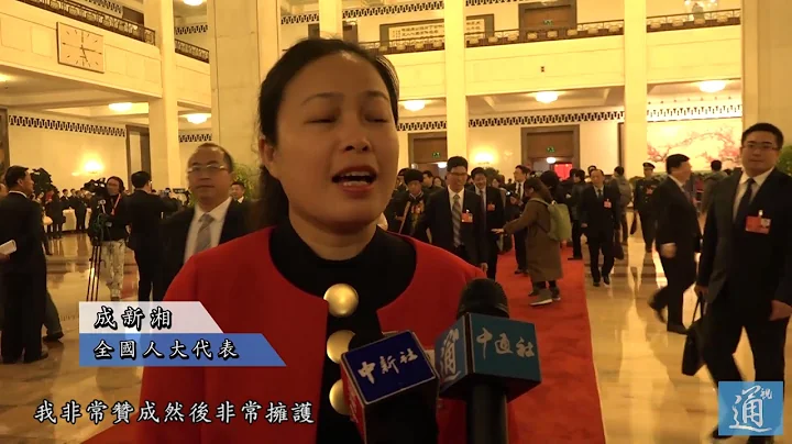 【中國兩會】人大代表談憲法修正案：符合民心 順應民意 - 天天要聞