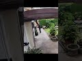 lol #fyp #funnyvideo #funny #funnyshorts #lol