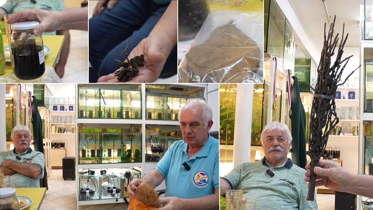Hovory nad hladinou - 🍂 Přírodní vychytávky v akváriu: Listí, šišky a kokosová vlákna
