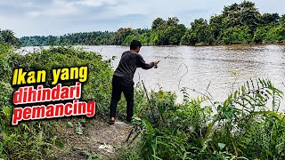 NIAT CARI PATIN, MALAH STRIKE IKAN PALING DIHINDARI PEMANCING 