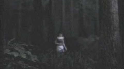 Fatal Frame/ Project Zero 2 - Thanks for the Memories