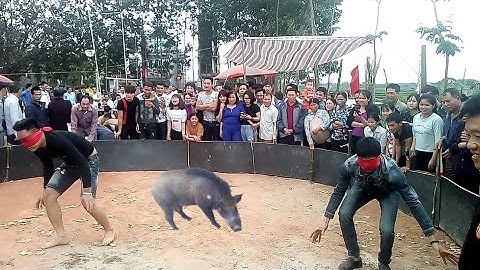 NVH | Lần đầu tiên chơi trò bịt mắt bắt lợn . Cái kết cười rụng răng .