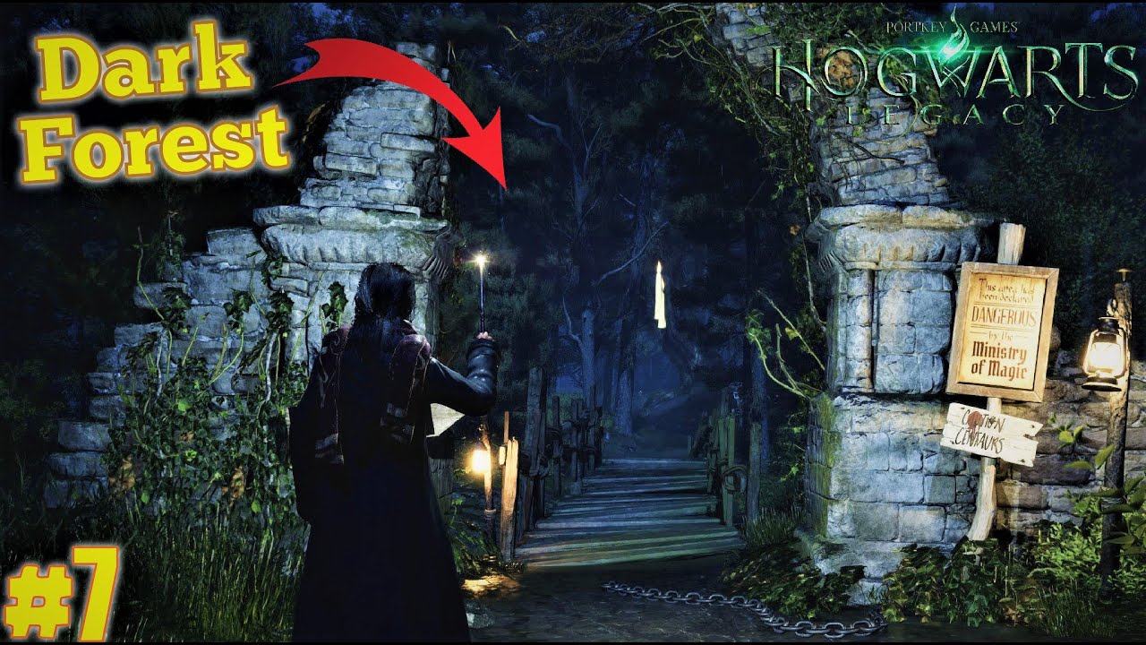Going In Forbidden Forest Hogwarts Legacy 7 Hindi Urdu YouTube going-in-forbidden-forest-hogwarts-legacy-7-hindi-urdu-youtube