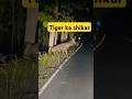 Tiger Attack Sambhar Travelwithnaved83 Youtubeshorts Shortsviral Shortsfeed Shorts Jimcorbett Tiger Attack Sambhar Travelwithnaved83 Youtubeshorts Shortsviral Shortsfeed Shorts Jimcorbett
