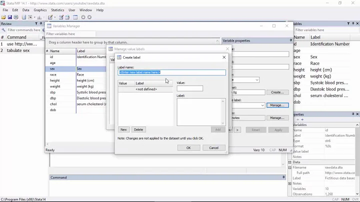 Data management: How to label the values of categorical variables