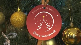 Руководящий состав МВД России принял участие в благотворительной акции «Елка желаний».