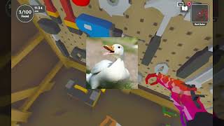 i am making a bird army pt1 #bird #birds screenshot 5