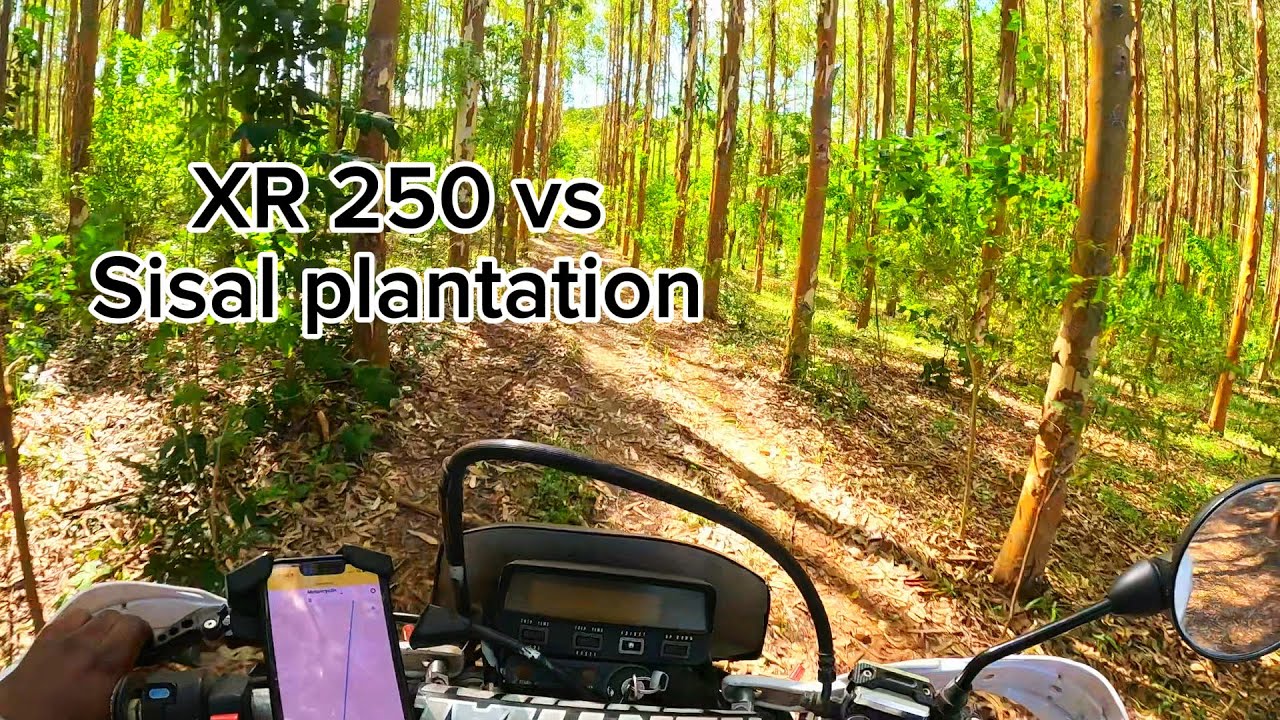 Honda XR250: The Ultimate Off-Road Adventure