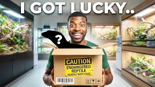 I Can’t Believe I Own This Rare Monitor Lizard…
