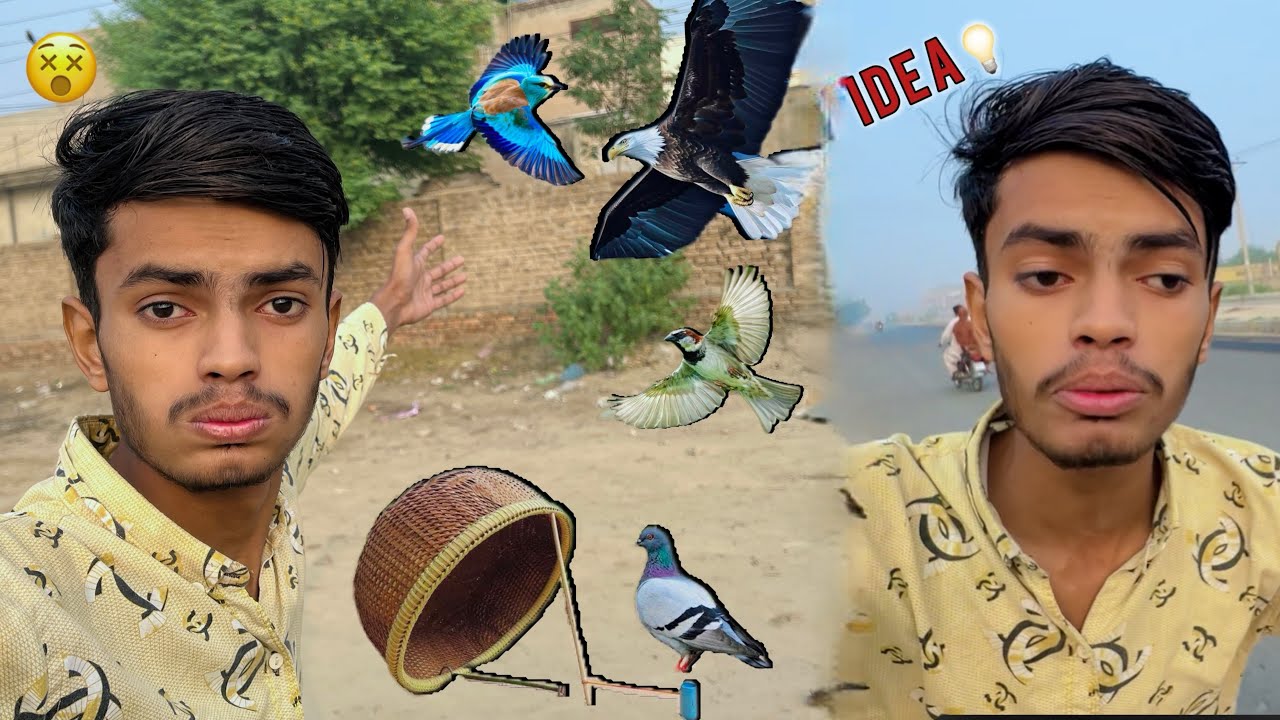 Bird trap lgany ka idea Acha ne 🥹 new content soch liya 