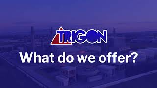 Trigon   What do we offer