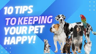 10 TIPS TO KEEPING YOUR PETS HAPPY!