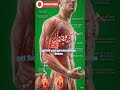 What Happens Inside Your Body When You Drink Orange Juice 🍊 #vitaboost #orangejuice #shorts