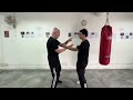 Wsl ving tsun kuen hok  breaking it down 46  the siu nim tau form in detail pt10