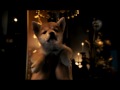 Hachiko Il Tuo Migliore Amico