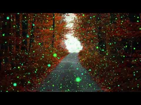 Fireflies 3Styles 2Colors Overlay AE, a Branding & Logo Template by Josep Motion (Thumbnail 2 of 2)