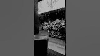 Story' WA || secangkir kopi di kala hujan turun