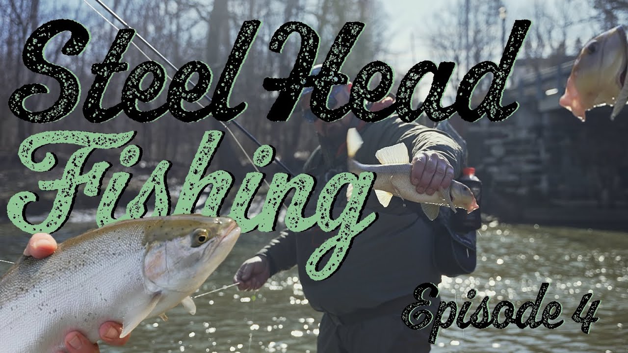 Steelhead or Hog Sucker Fishing??? Steelhead Episode 4