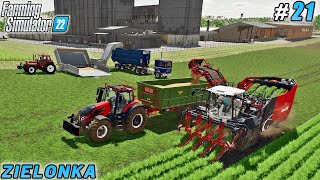 The Mechanization of Carrot and Parsnip Processing | Zielonka Farm | Farming simulator 22 | ep #21