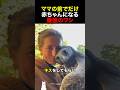 ママの前でだけ赤ちゃんになる最強のワシ