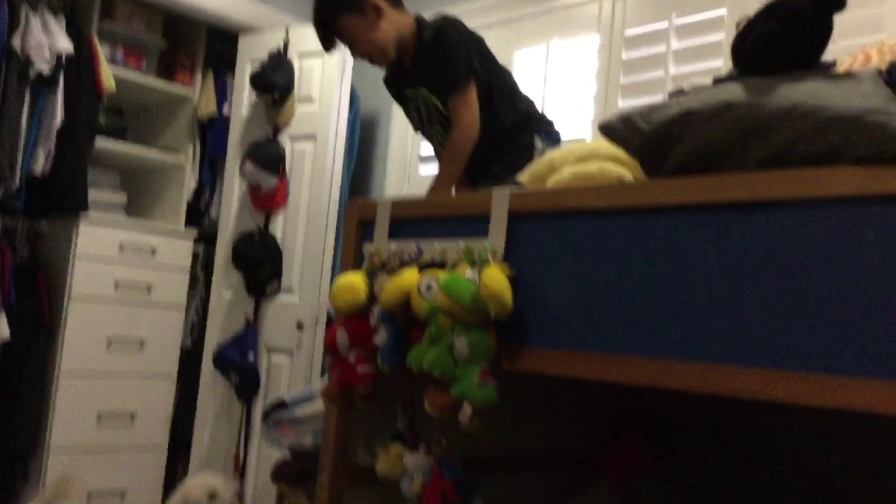 Dog humping kid YouTube