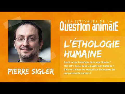 Vidéo: Application De La Médecine Factuelle Dans La Pratique Générale: Une étude D'entrevue Stimulée Par Vidéo Sur L'observation En Milieu De Travail