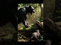 Black Panther Saves Cub from Giant Python! | Heartwarming Maternal Rescue