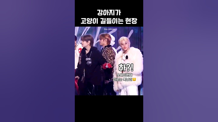 뽁냥이🐱길들이는 승댕이🐶 #스트레이키즈 #straykids #skz #felix #용복 #필릭스 #승민 #seungmin