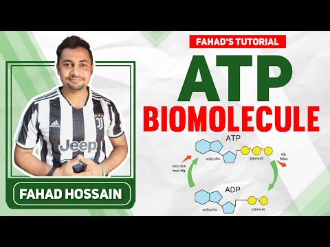 ভিডিও: ATP - এটা কি? ATP - প্রতিলিপি। এশিয়া-প্যাসিফিক দেশগুলির ইতিহাস