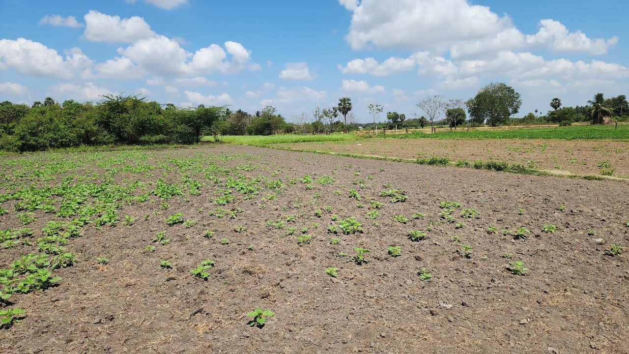 Ad216 Low budget investment land for sale in Marakkanam ECR 6 Acres