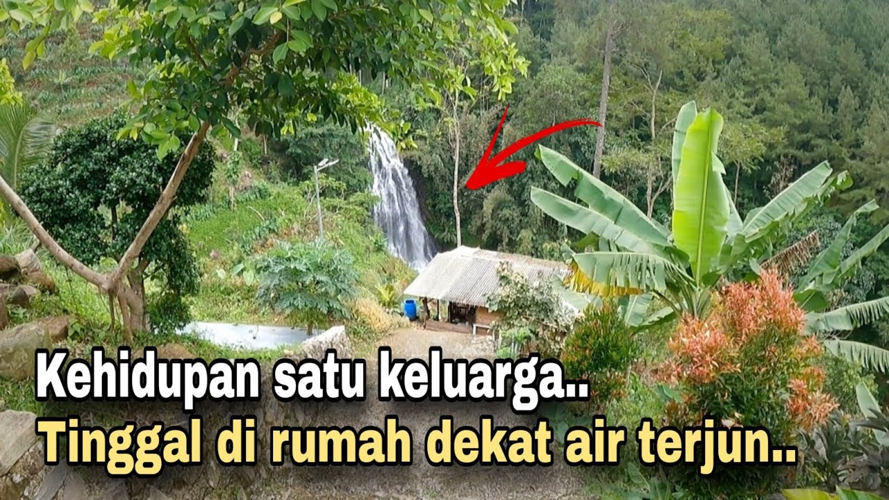 MENGUNJUNGI SATU KELUARGA YANG TINGGAL DI DEKAT CURUG TERSEMBUNYI DI TENGAH HUTAN.