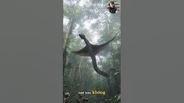 Sinh vật lạ dài 7m có cánh được phát hiện tại rừng Amazon
