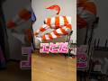 【コント】エビ🦐になってほしいよぉ😝✨