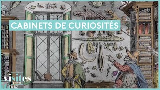 Cabinets de curiosités - Visites privées
