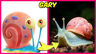 🎥Персонажи мультфильма «Губка Боб» в реальной жизни + Викторина «Угадай эмодзи»🐌🌊 | Гари, Сквидва... screenshot 4