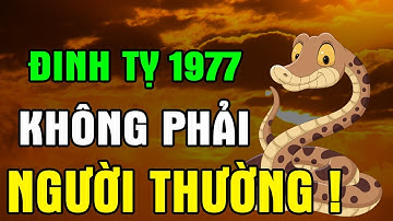 Đinh Tỵ 1977 – Vận Mệnh Đầy Thăng Trầm, Nhưng Cuối Đời Hưởng Trọn Đại Phúc nếu Biết Sớm Điều Này !