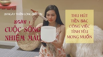 Cuộc sống diệu kì/Thu hút mọi điều bạn muốn/Ngày 1/Thiền 28 ngày lòng biết ơn