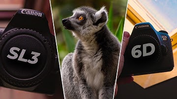Is Canon 6D or 250D (Rebel SL3) Better for You? A Comprehensive Review