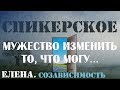 Спикерское Елена.  Созависимость. Мать химически зависимого сына.